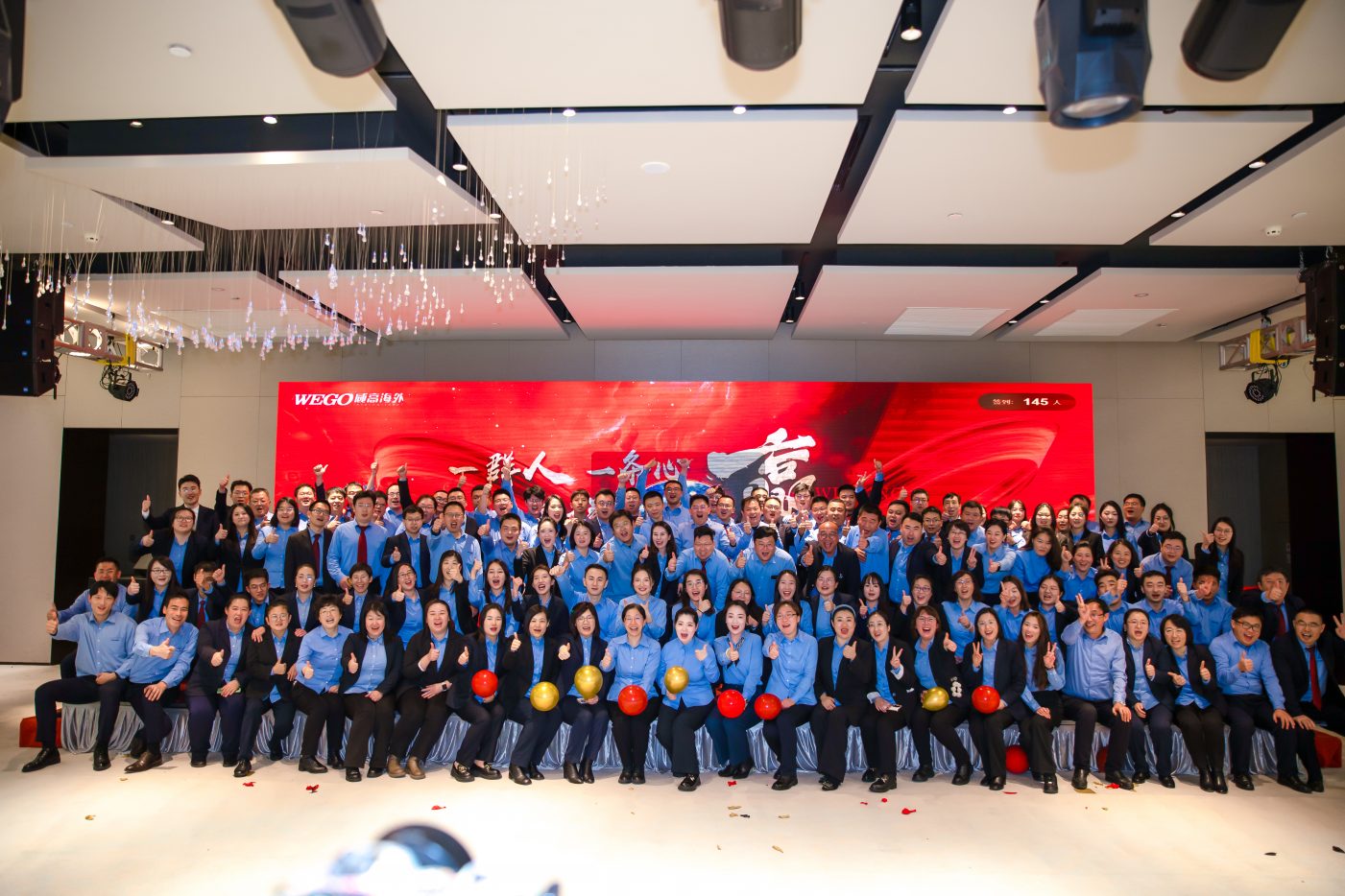 WEGO Medical Corporate Annual Meeting