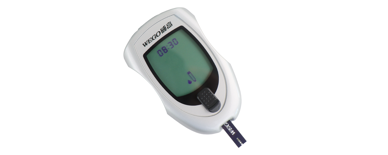 Blood Glucose Meter 2